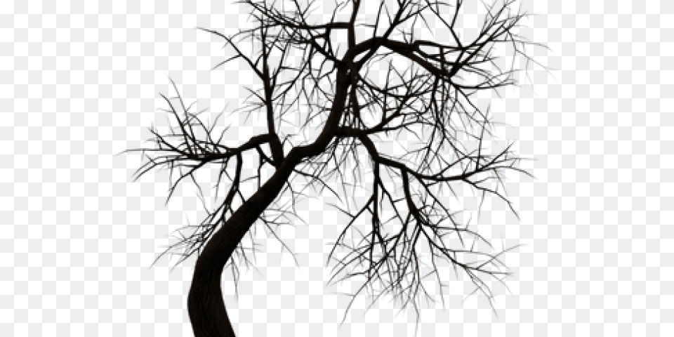 Dead Tree Clipart Noose Silhouette Transparent Haunted House, Ice, Nature, Outdoors, Weather Png