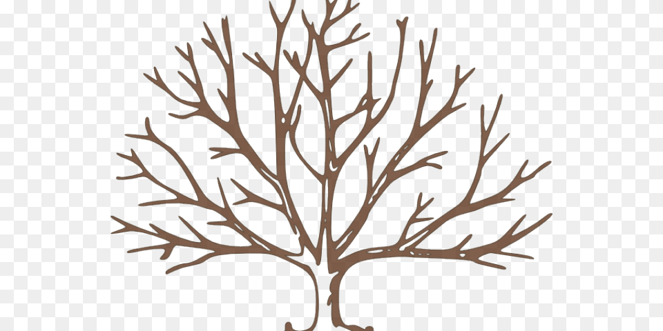 Dead Tree Clipart Tree Outline Tree Branch Clipart Black And White, Plant, Festival, Hanukkah Menorah, Wood Free Transparent Png