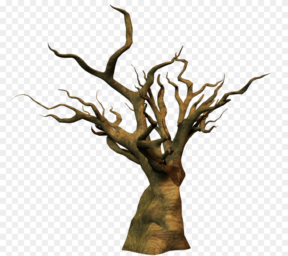 Dead Tree Dead Tree Images, Plant, Tree Trunk, Wood, Potted Plant Free Png Download