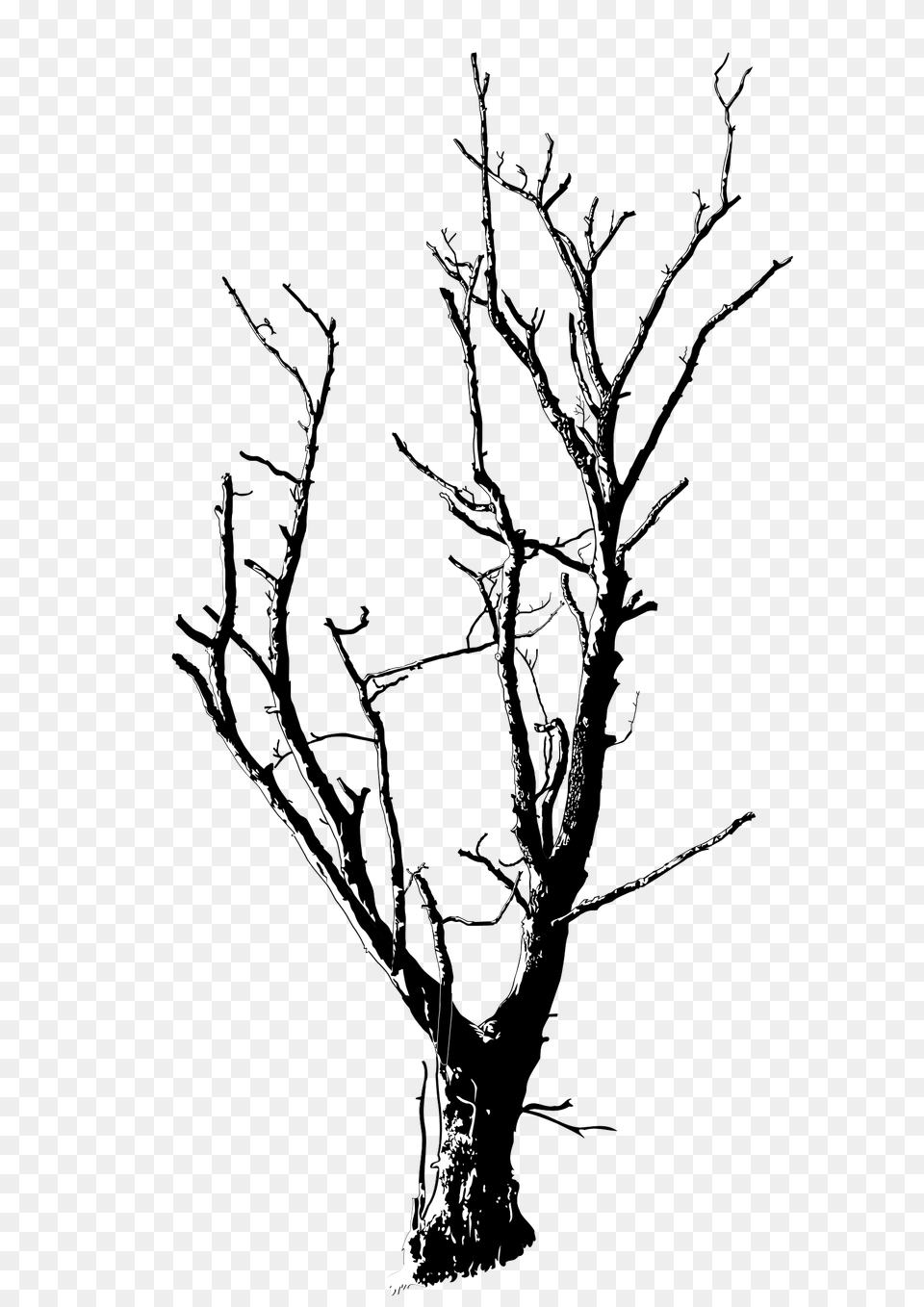 Dead Tree Detailed Icons, Silhouette, Plant, Art, Drawing Png Image