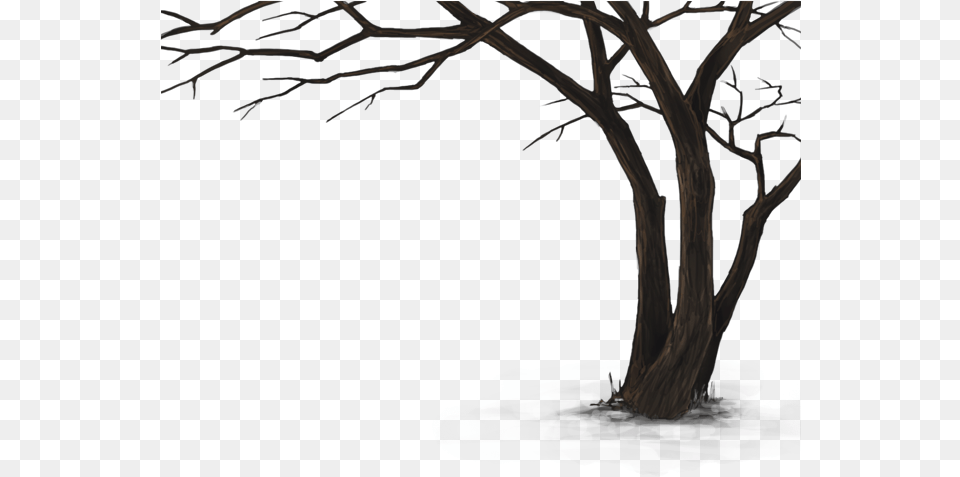 Dead Tree Hd, Plant, Art, Drawing Png Image