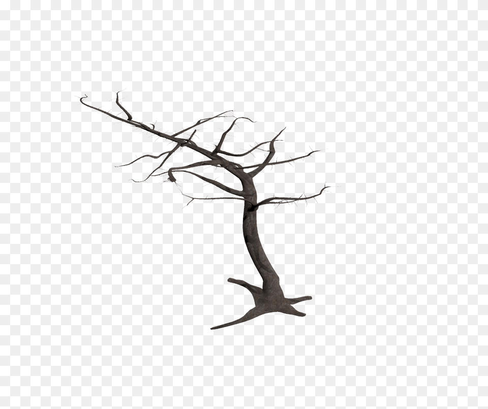 Dead Tree In Wind, Plant, Flower, Art, Drawing Png