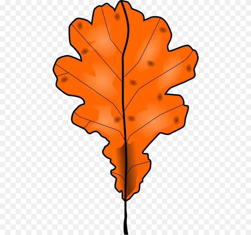 Dead Tree Leaf Clipart Download Dead Tree Leaf Clipart, Plant, Maple Leaf, Dynamite, Weapon Png