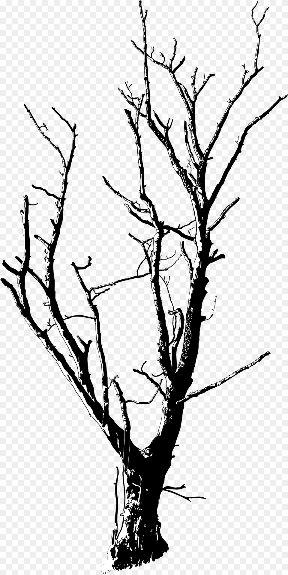 Dead Tree Line Drawing Clipart Transparent Dead Trees, Plant, Silhouette, Nature, Outdoors Free Png Download