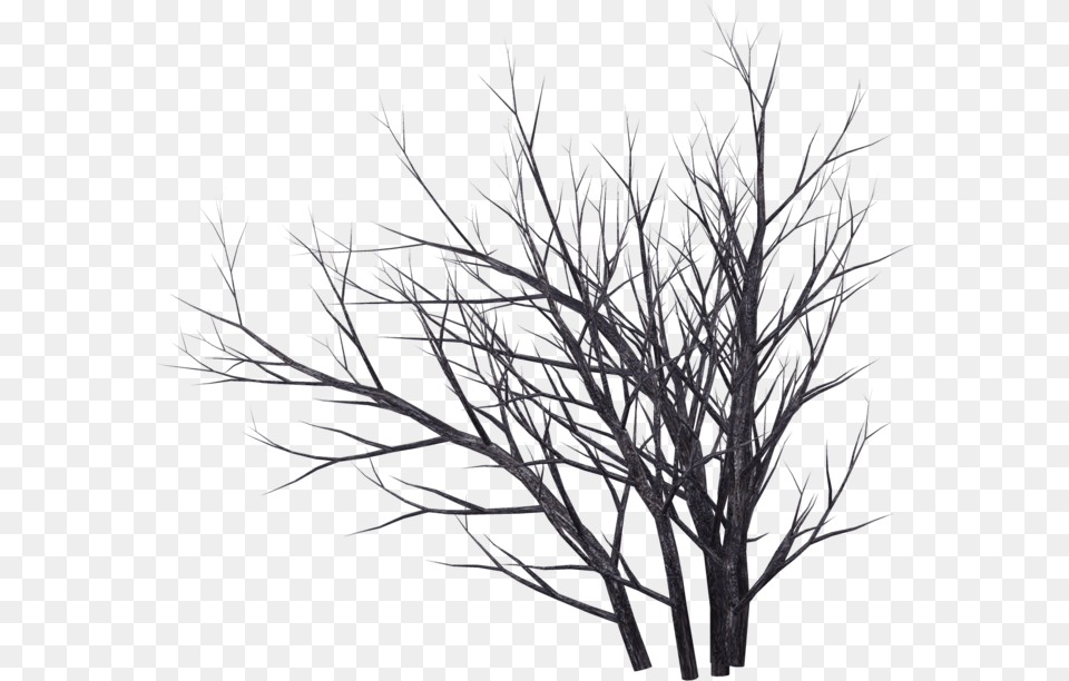 Dead Tree Render, Ice, Nature, Outdoors, Plant Png Image