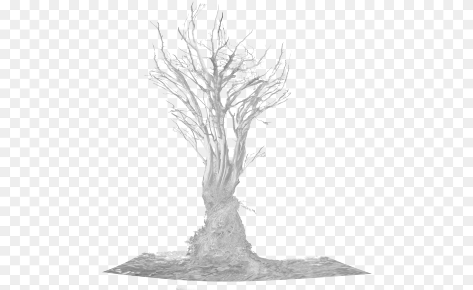 Dead Tree Root Tree, Plant, Art, Wood, Animal Png Image