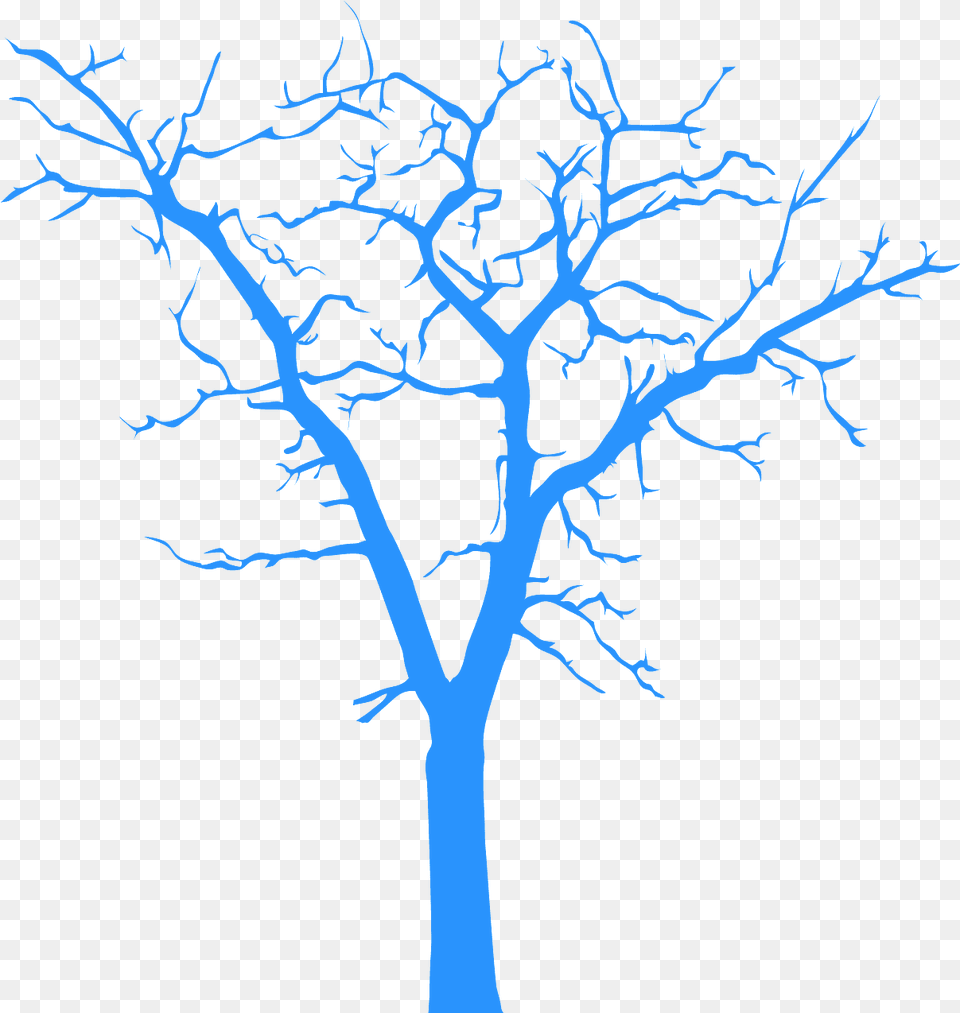 Dead Tree Silhouette, Plant, Tree Trunk Free Png