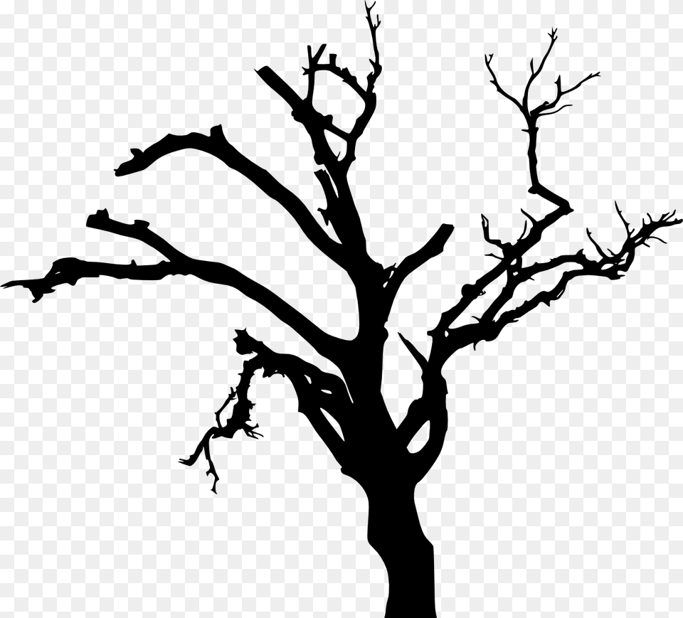 Dead Tree Silhouette, Plant, Oak, Tree Trunk Free Transparent Png