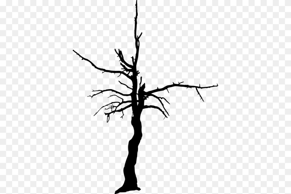 Dead Tree Silhouette Dead Tree Silhouette Background, Plant, Tree Trunk Free Transparent Png