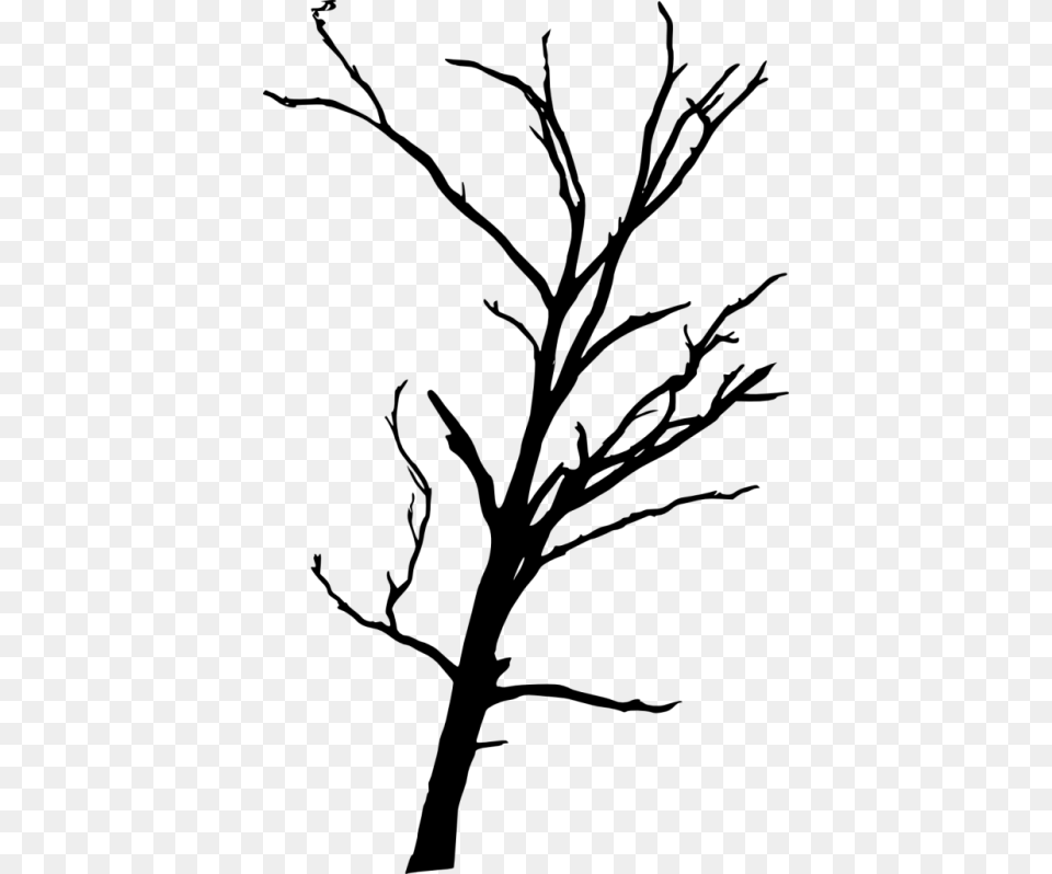 Dead Tree Silhouette Images Dead Tree, Plant, Tree Trunk, Art Free Png