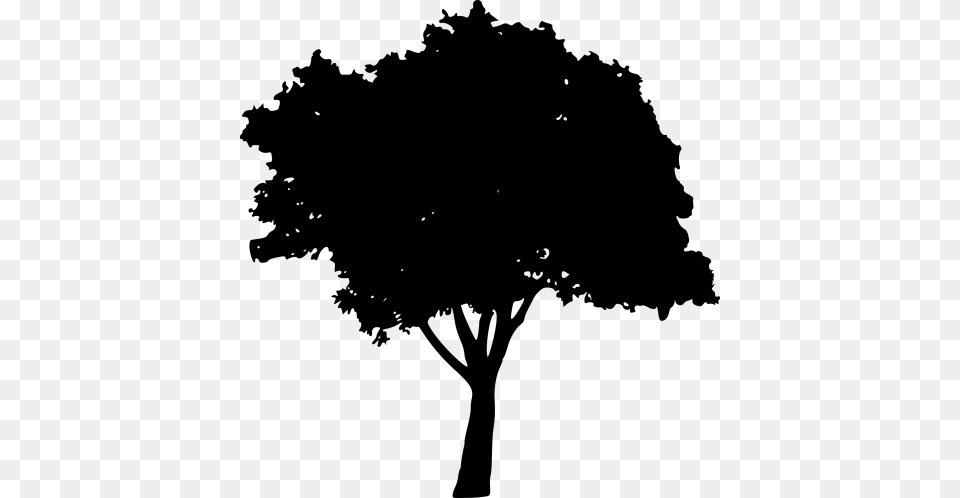 Dead Tree Silhouette Toppng Peach Tree Silhouette, Oak, Plant, Sycamore, Tree Trunk Png