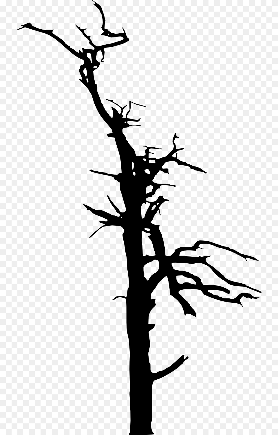 Dead Tree Silhouette Transparent Dead Trees Dead Trees Silhouette Free, Stencil, Person Png Image