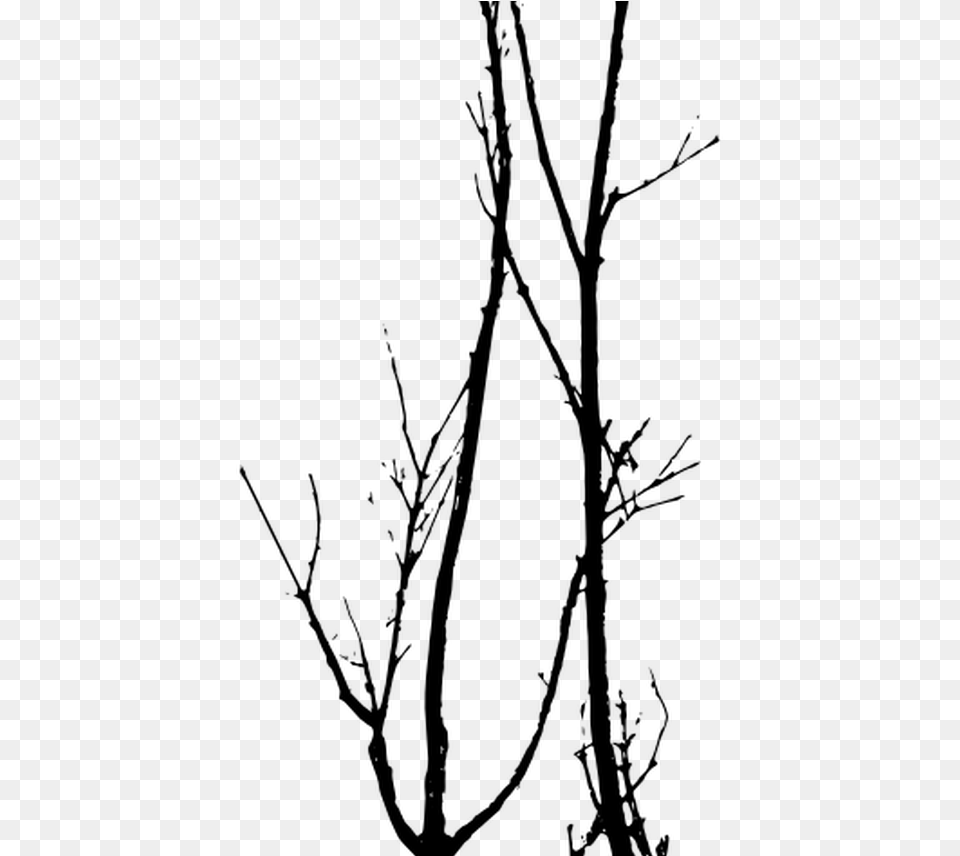 Dead Trees Vector Tree Silhouette Photoshop Tree, Gray Png