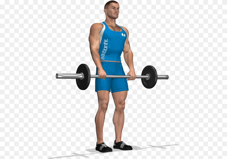 Deadlift Stacchi A Gambe Tese, Adult, Male, Man, Person Free Transparent Png