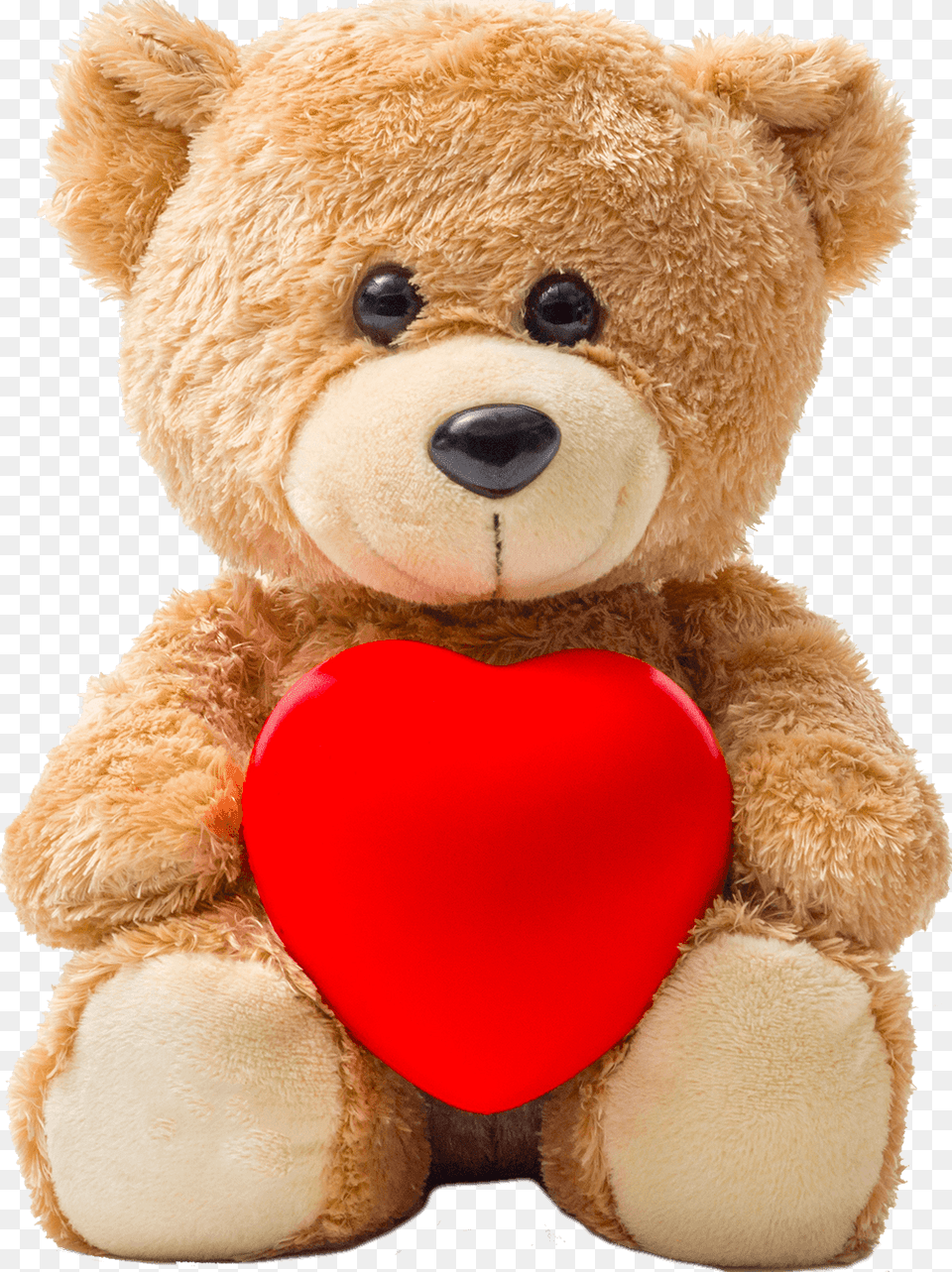 Deady Bear With Heart, Teddy Bear, Toy, Ping Pong, Ping Pong Paddle Free Png