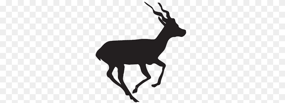 Dear Clipart Blackbuck, Animal, Antelope, Impala, Mammal Png Image