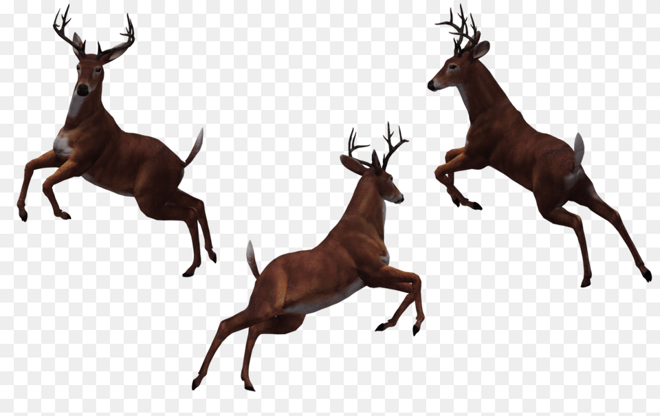 Dear Clipart Dead Deer, Animal, Antelope, Impala, Mammal Free Transparent Png