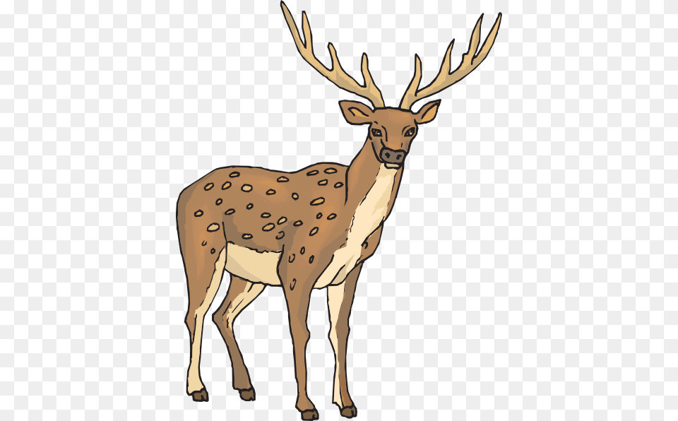 Dear Clipart Rusa, Animal, Deer, Mammal, Wildlife Free Png Download