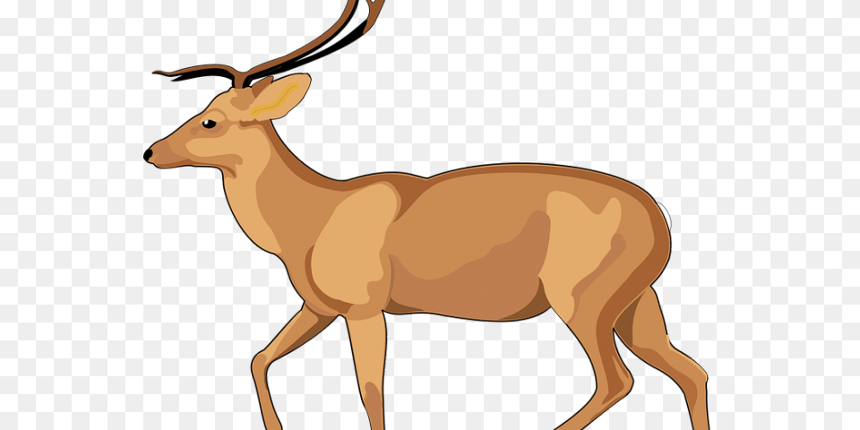 Dear Clipart Walking Dear Clipart, Animal, Deer, Mammal, Wildlife Free Png