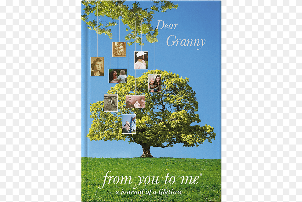 Dear Grandma, Art, Collage, Grass, Plant Free Png