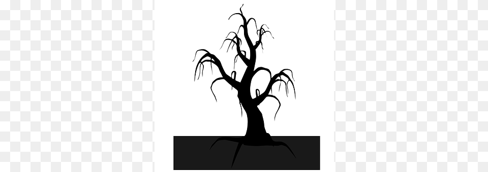 Death Plant, Silhouette, Tree, Stencil Png Image