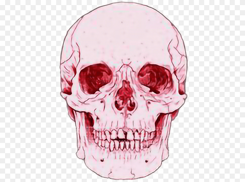 Death Calavera Tumblr Sticker By Skull Overlay, Head, Person, Face, Flower Free Png Download