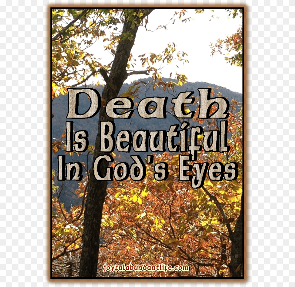 Death Is Beautiful In God39s Eyes Leaf, Woodland, Vegetation, Tree Trunk, Tree Free Png