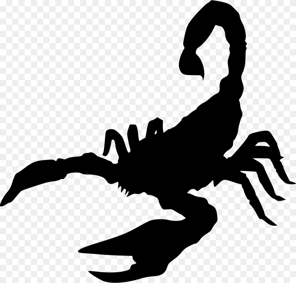 Deathstalker Icon Deathstalker, Person, Animal, Invertebrate, Scorpion Free Transparent Png