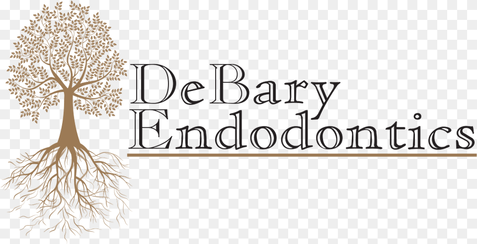 Debary Endodontics Calligraphy, Plant, Root, Tree Png Image