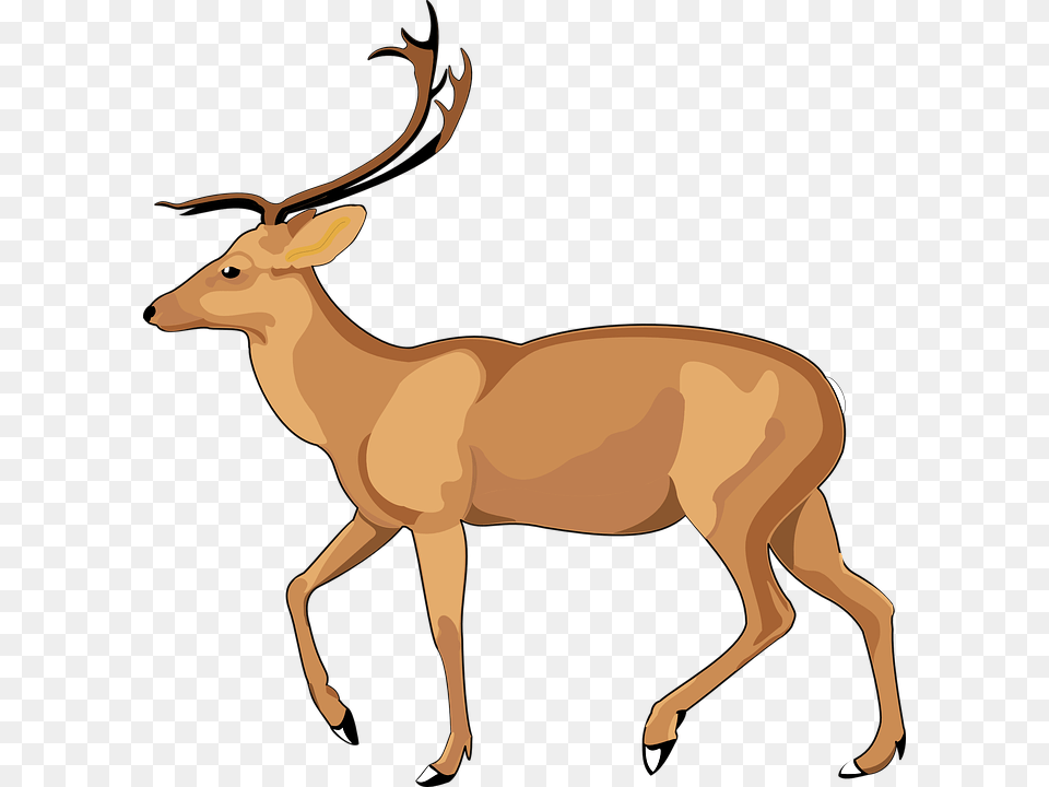 Debden Park High School, Animal, Deer, Mammal, Wildlife Free Png