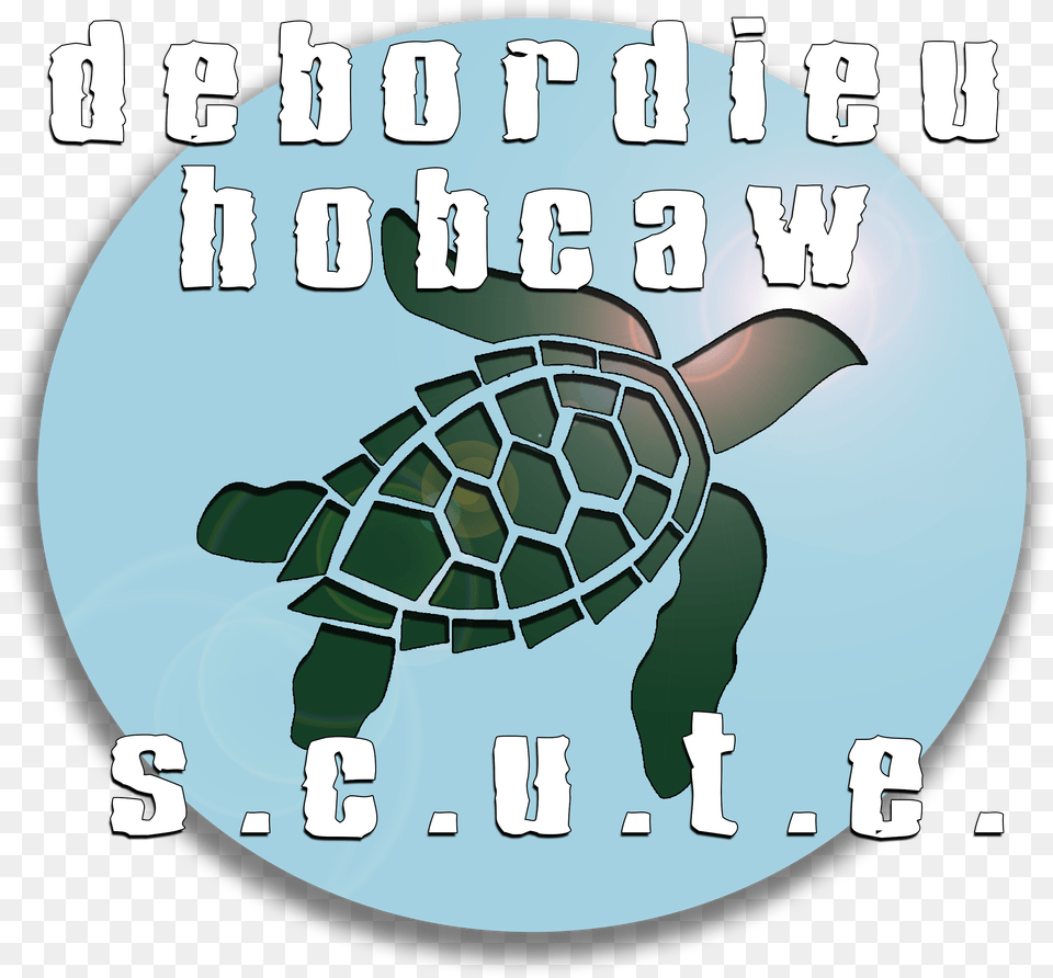 Debordieu Amp Hobcaw S Hawksbill Sea Turtle, Animal, Reptile, Sea Life, Sea Turtle Png