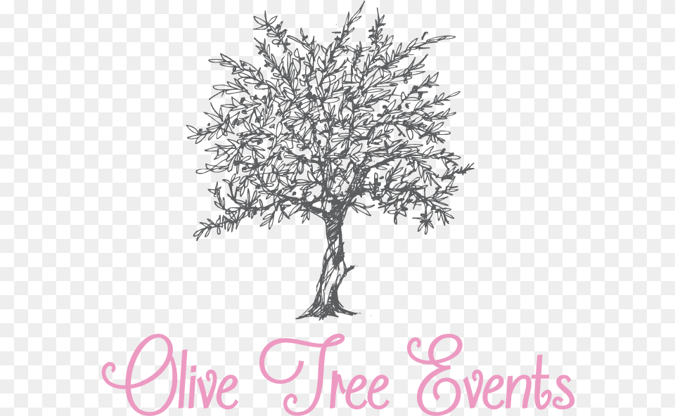 Dec Olive Tree Events Love By Helen Paperback, Plant, Art, Outdoors, Nature Png