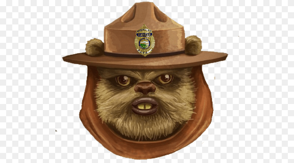 Dec Star Wars Only You Can Prevent Forest Fires, Clothing, Hat, Adult, Person Png Image