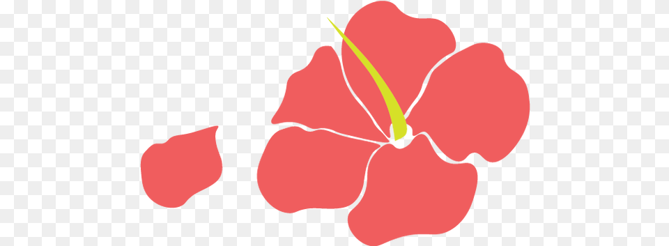 Decals Mysite Clip Art, Flower, Petal, Plant, Hibiscus Free Png