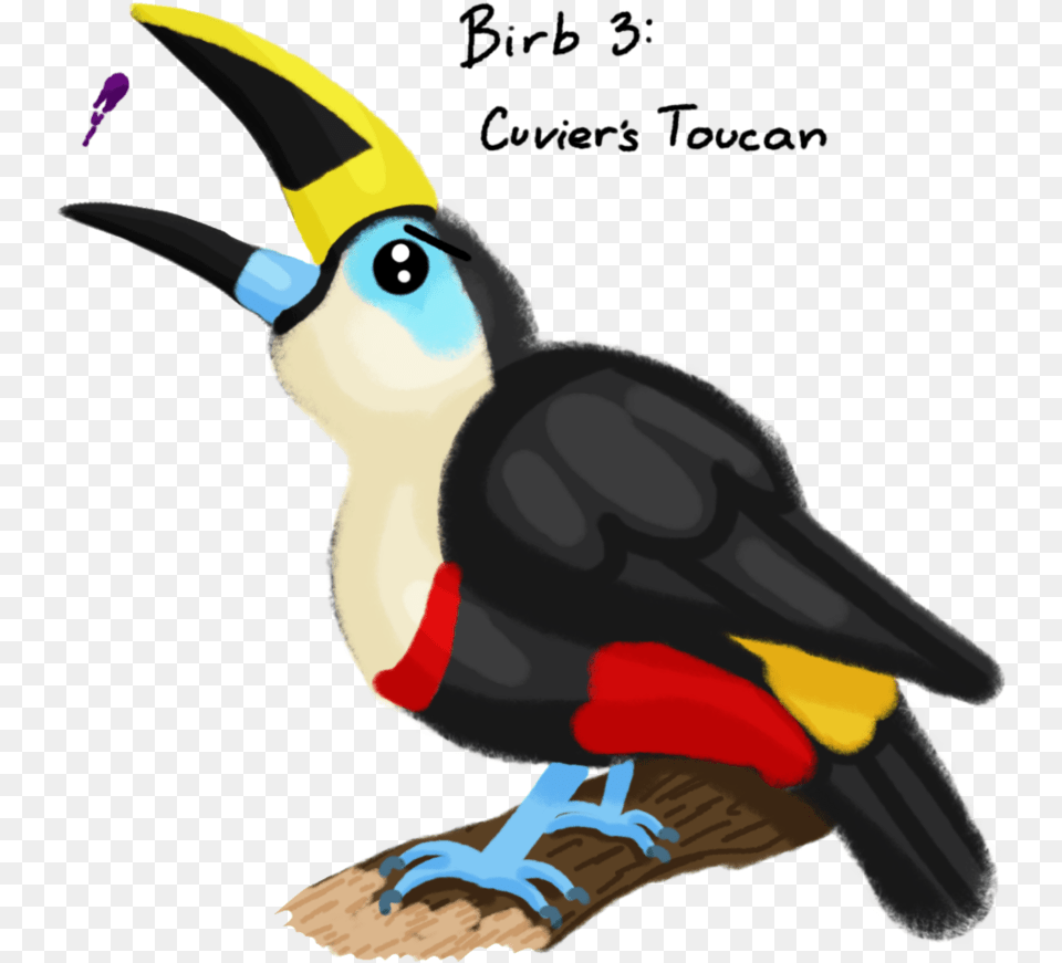 Decembirb Animal, Beak, Bird, Toucan Free Png Download