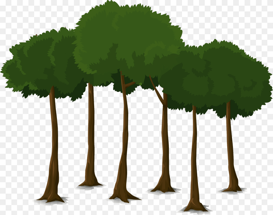 Deciduous Tree Clipart, Woodland, Vegetation, Plant, Outdoors Png