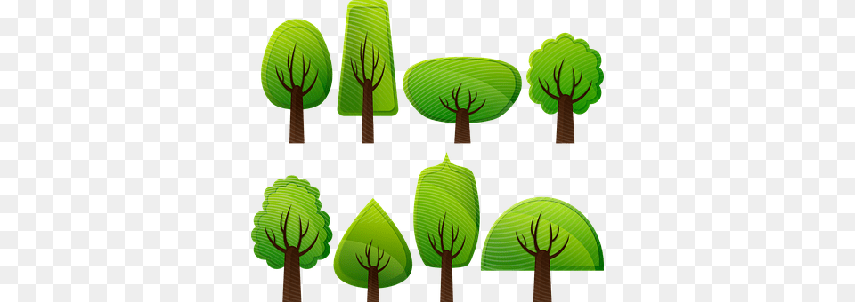 Deciduous Trees Green, Moss, Plant Free Transparent Png