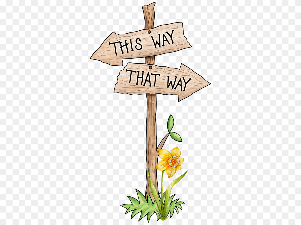 Decision Making Can Be Tough Direction Cartoon, Flower, Plant, Wood, Flower Arrangement Free Png Download