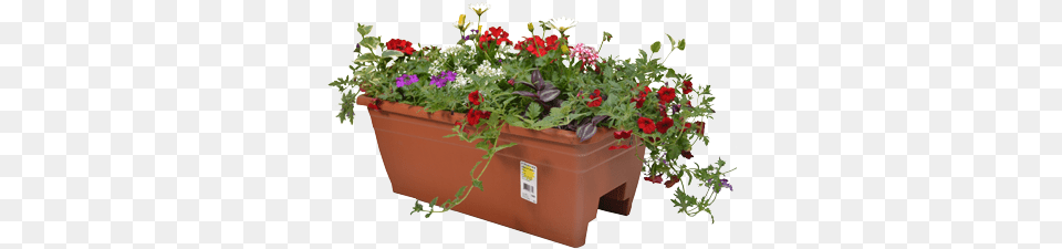 Deck Rail Planter Flowerpot, Flower, Geranium, Jar, Plant Free Png