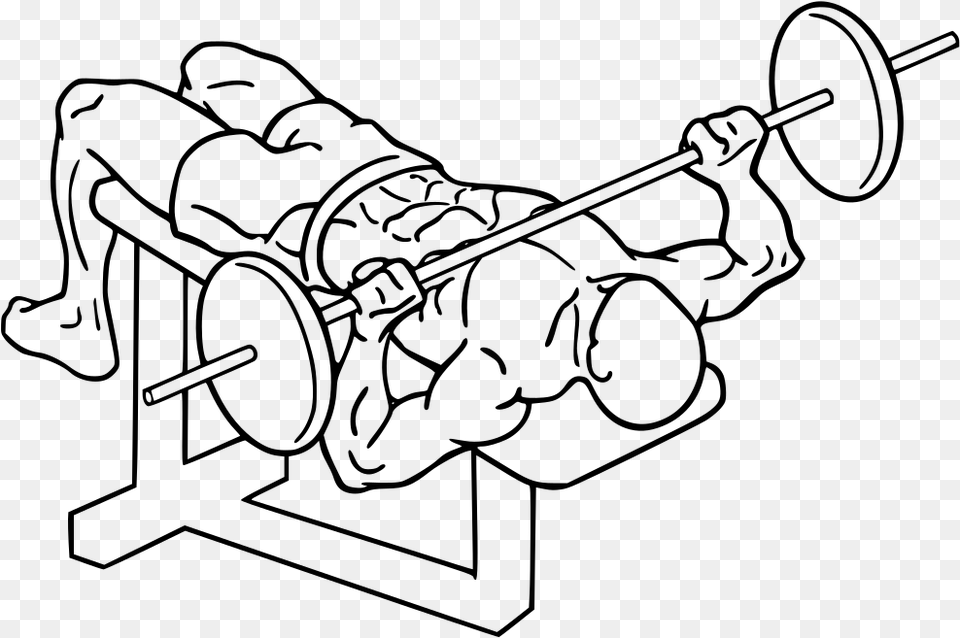 Decline Barbell Bench Press Decline Bench Press, Gray Free Transparent Png