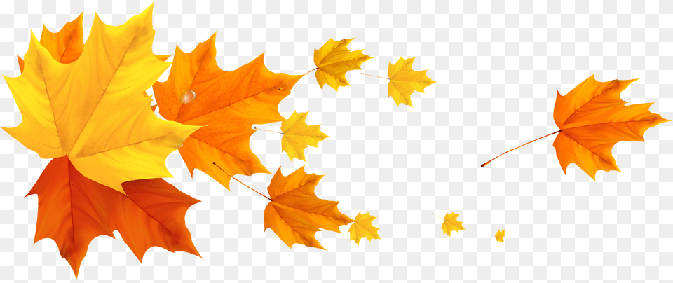 Deco Fall Leafs Aesthetic Artsy Instagram Divider, Leaf, Plant, Tree, Maple Png Image