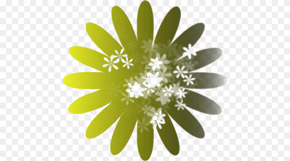 Decor 03 4 Thing I Hate, Daisy, Flower, Plant, Outdoors Free Png