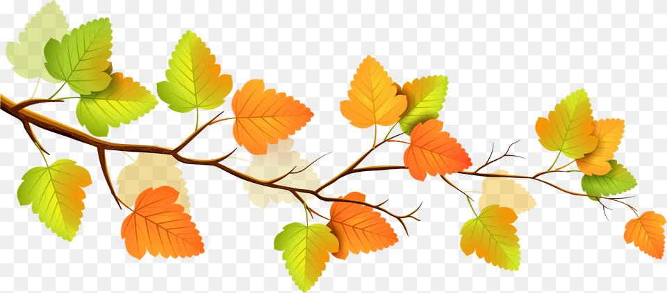 Decor Cliparts Download Clip Art Background Autumn Leaf Clip Art, Plant, Tree, Herbal, Herbs Free Transparent Png