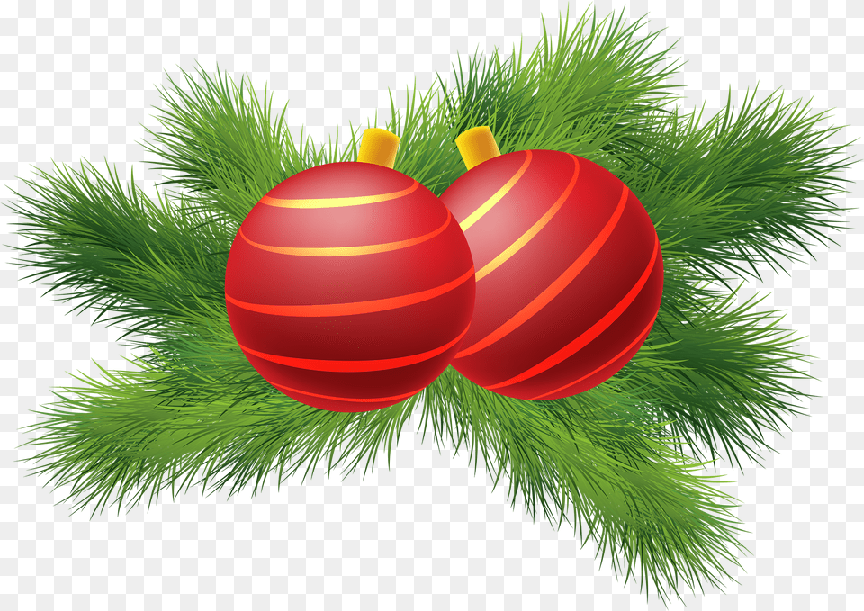 Decor With Red Balls Best Web Natal, Plant, Tree, Ball, Basketball Png