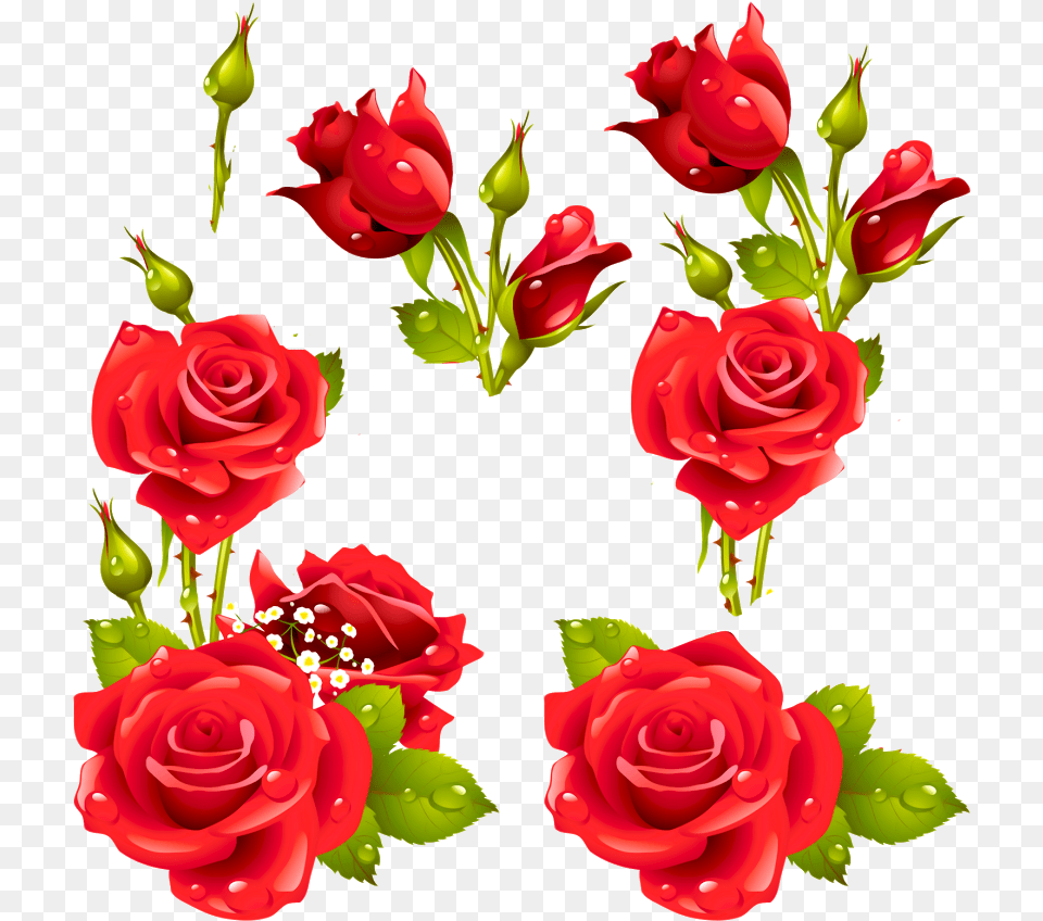 Decora Con Flores Rose Vector Download, Plant, Flower, Graphics, Art Free Png