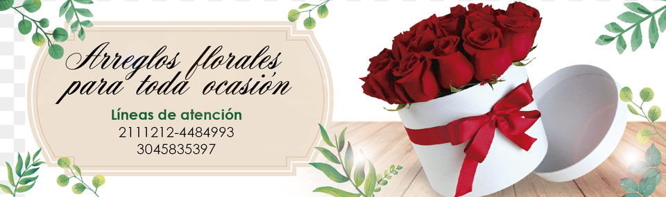 Decoracin De Fiestas Rose, Flower, Plant, Jar, Flower Arrangement Free Png