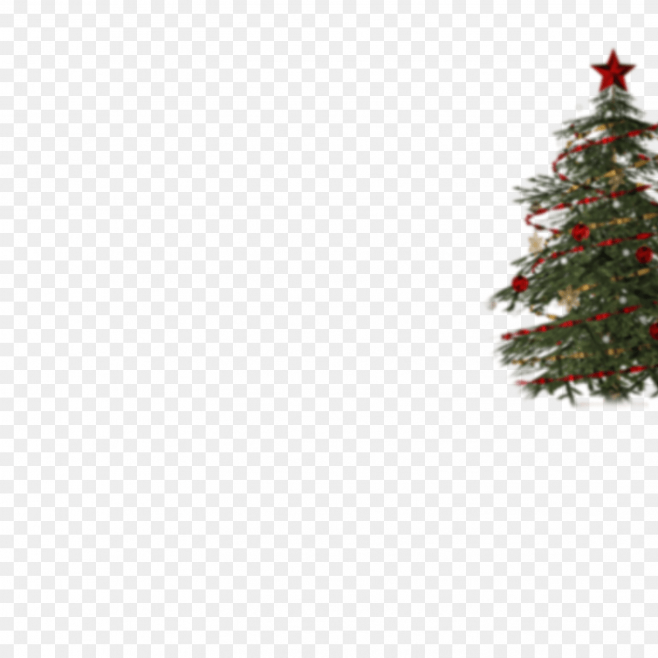 Decorated Christmas Tree Transparent, Plant, Christmas Decorations, Festival, Christmas Tree Free Png