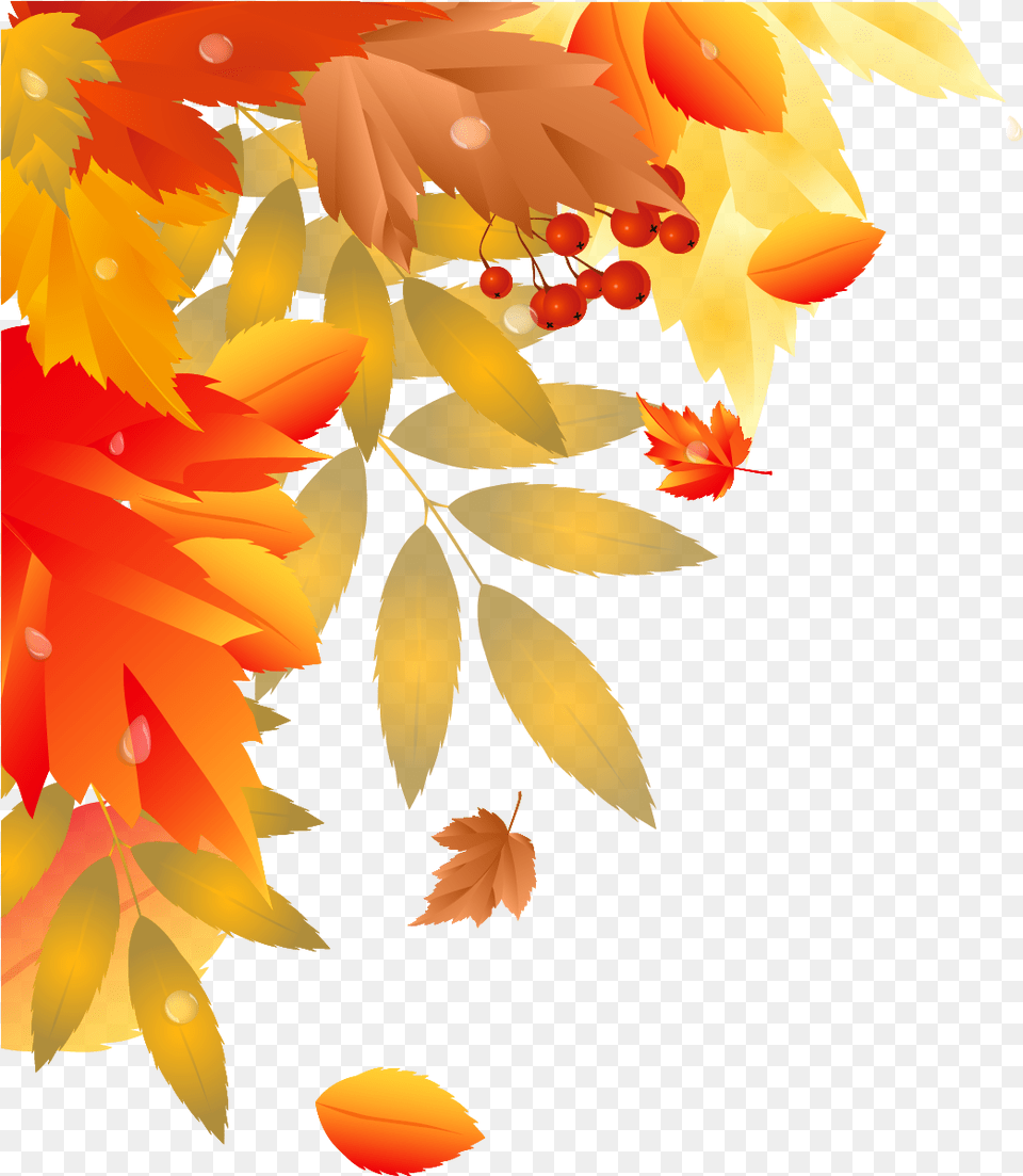 Decoration Clipart Autumn Transparent Fall Leaves Corner Border Transparent, Leaf, Plant, Tree, Maple Png Image