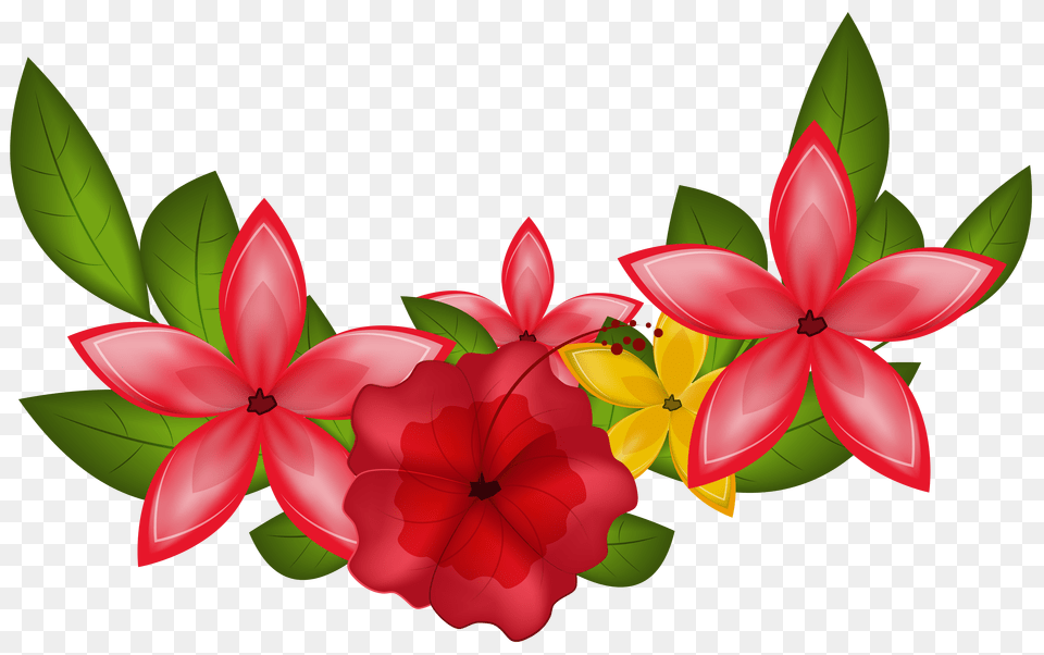 Decoration Clipart Clip Art Flower, Pattern, Leaf, Graphics, Petal Free Transparent Png
