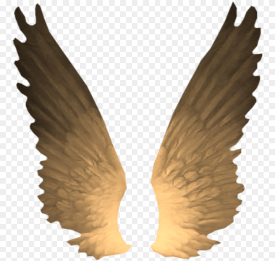 Decoration Decor Angel Wings Angelwings Stickers Gota Io Icon, Animal, Bird, Pigeon Free Png Download